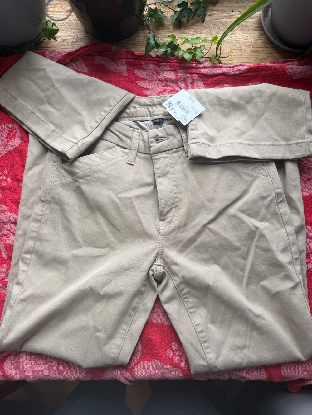 American Eagle Outfitters Tan Chino Pants